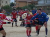 thumb_100_0306.jpg